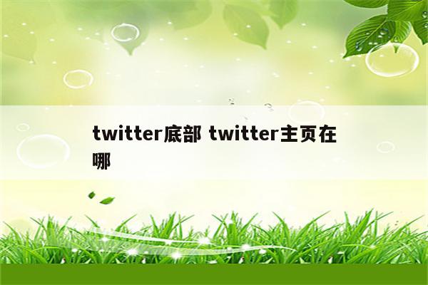 twitter底部 twitter主页在哪
