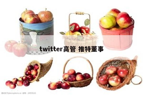 twitter高管 推特董事