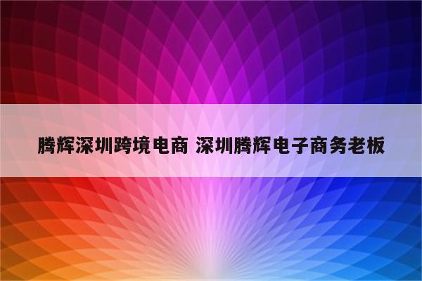 腾辉深圳跨境电商 深圳腾辉电子商务老板