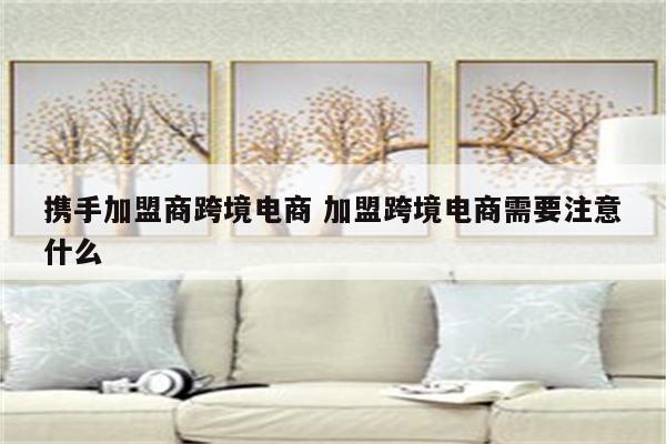 携手加盟商跨境电商 加盟跨境电商需要注意什么