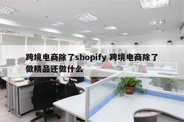 跨境电商除了shopify 跨境电商除了做精品还做什么