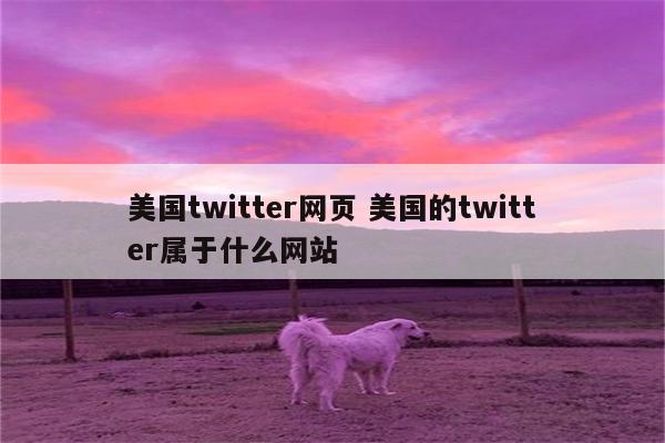 美国twitter网页 美国的twitter属于什么网站