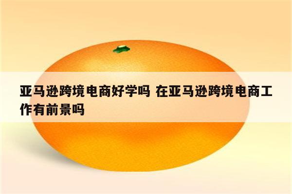 亚马逊跨境电商好学吗 在亚马逊跨境电商工作有前景吗