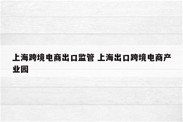 上海跨境电商出口监管 上海出口跨境电商产业园