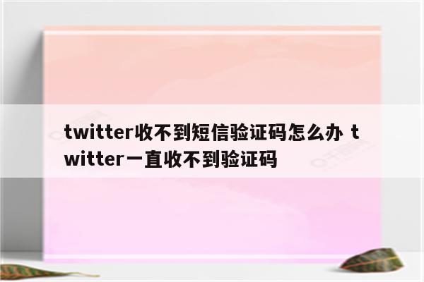 twitter收不到短信验证码怎么办 twitter一直收不到验证码