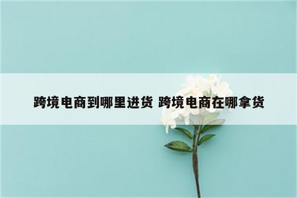 跨境电商到哪里进货 跨境电商在哪拿货