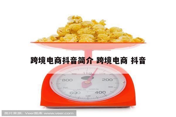 跨境电商抖音简介 跨境电商 抖音