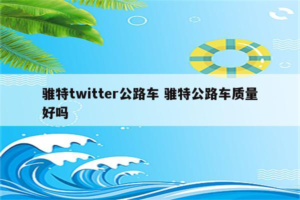骓特twitter公路车 骓特公路车质量好吗