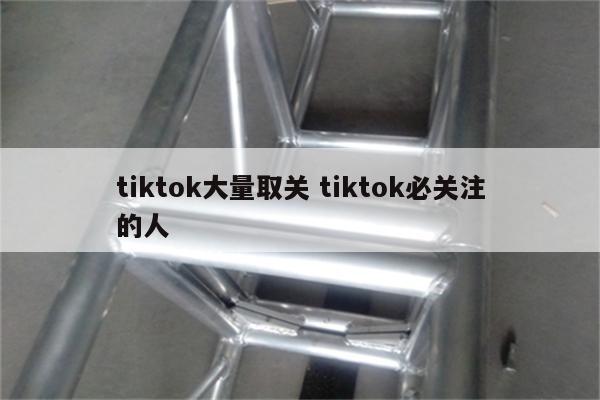 tiktok大量取关 tiktok必关注的人