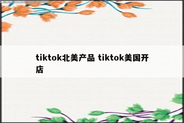 tiktok北美产品 tiktok美国开店