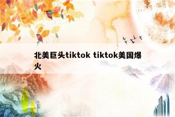 北美巨头tiktok tiktok美国爆火