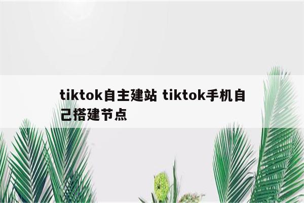 tiktok自主建站 tiktok手机自己搭建节点