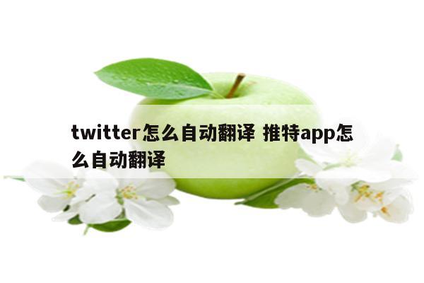 twitter怎么自动翻译 推特app怎么自动翻译