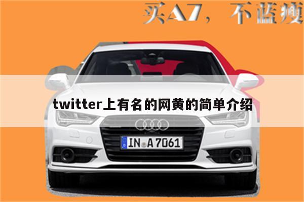 twitter上有名的网黄的简单介绍