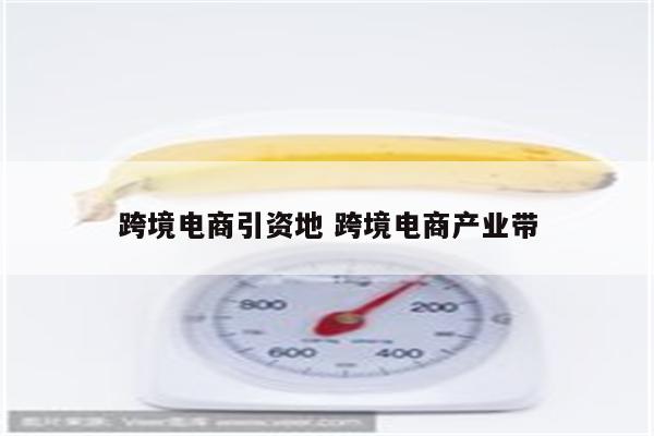 跨境电商引资地 跨境电商产业带