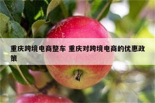 重庆跨境电商整车 重庆对跨境电商的优惠政策