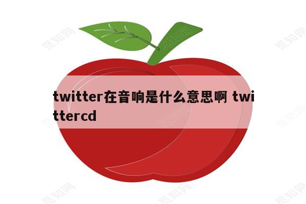 twitter在音响是什么意思啊 twittercd