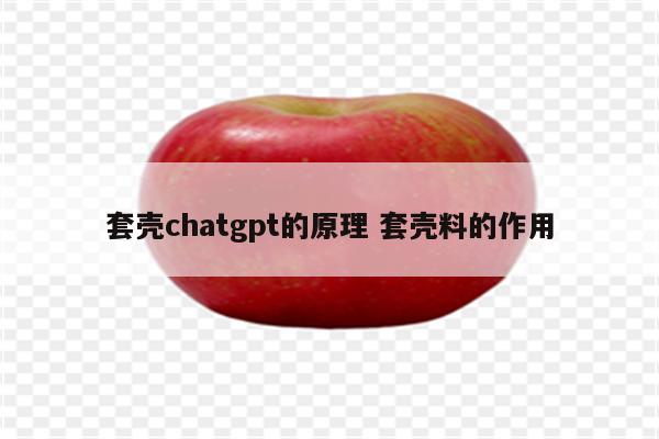 套壳chatgpt的原理 套壳料的作用