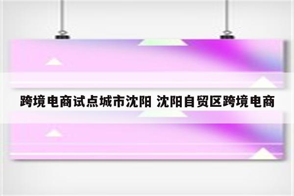 跨境电商试点城市沈阳 沈阳自贸区跨境电商