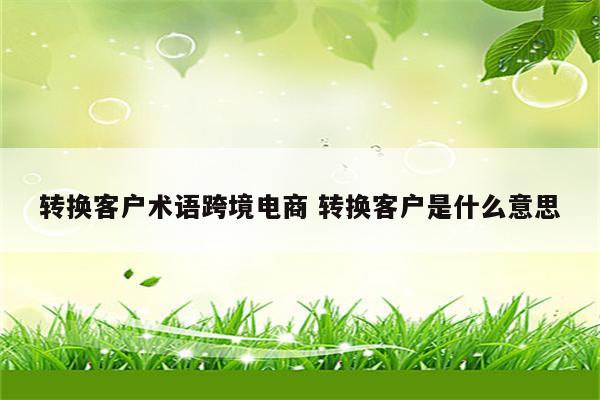 转换客户术语跨境电商 转换客户是什么意思