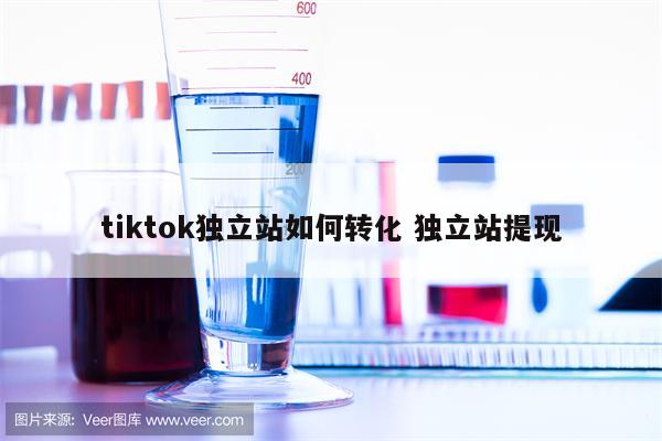 tiktok独立站如何转化 独立站提现