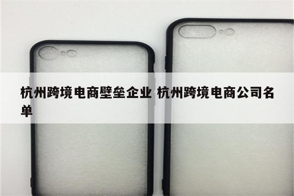 杭州跨境电商壁垒企业 杭州跨境电商公司名单