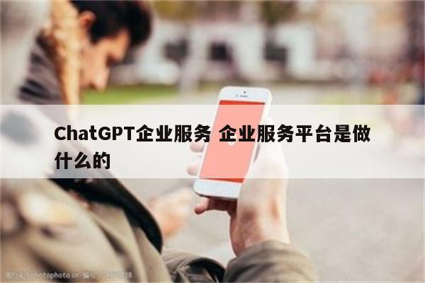 ChatGPT企业服务 企业服务平台是做什么的
