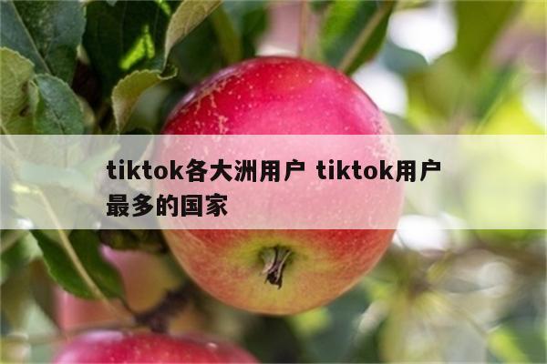 tiktok各大洲用户 tiktok用户最多的国家