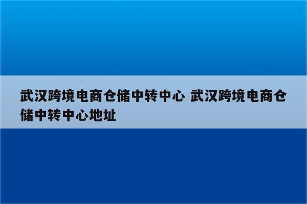 武汉跨境电商仓储中转中心 武汉跨境电商仓储中转中心地址