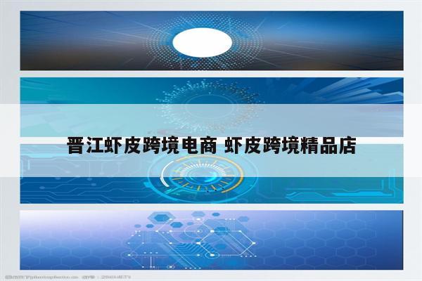 晋江虾皮跨境电商 虾皮跨境精品店