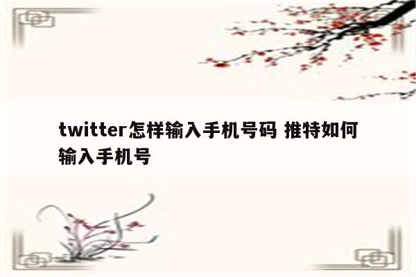 twitter怎样输入手机号码 推特如何输入手机号