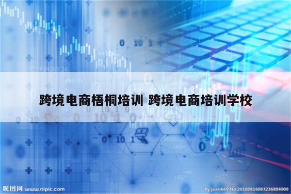 跨境电商梧桐培训 跨境电商培训学校