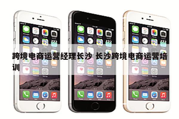 跨境电商运营经理长沙 长沙跨境电商运营培训