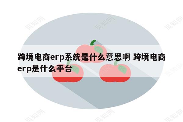 跨境电商erp系统是什么意思啊 跨境电商erp是什么平台