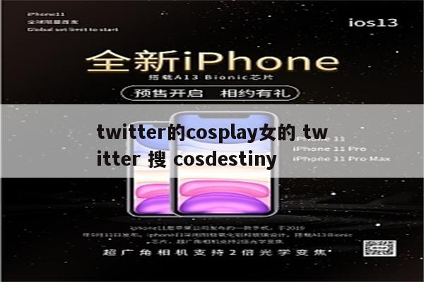 twitter的cosplay女的 twitter 搜 cosdestiny
