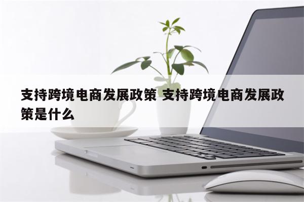 支持跨境电商发展政策 支持跨境电商发展政策是什么