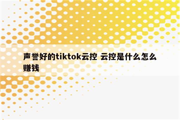 声誉好的tiktok云控 云控是什么怎么赚钱