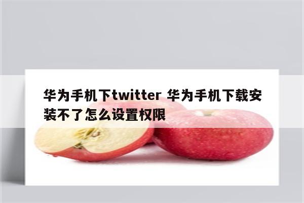华为手机下twitter 华为手机下载安装不了怎么设置权限