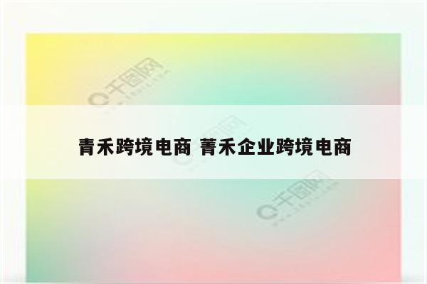 青禾跨境电商 菁禾企业跨境电商