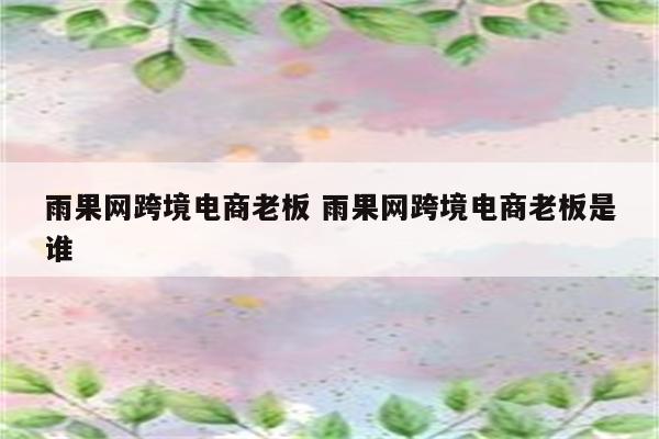 雨果网跨境电商老板 雨果网跨境电商老板是谁