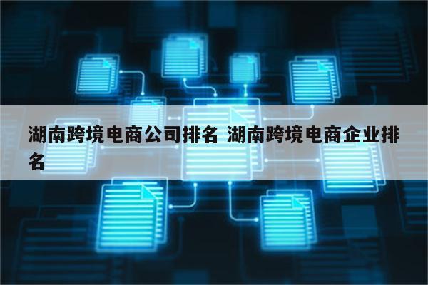湖南跨境电商公司排名 湖南跨境电商企业排名