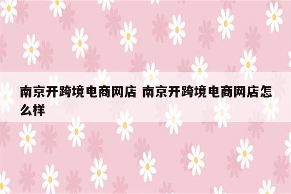 南京开跨境电商网店 南京开跨境电商网店怎么样