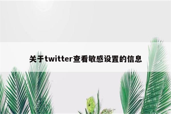 关于twitter查看敏感设置的信息