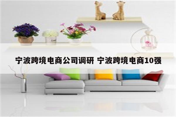 宁波跨境电商公司调研 宁波跨境电商10强