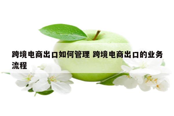 跨境电商出口如何管理 跨境电商出口的业务流程
