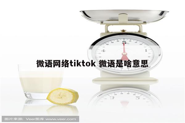 微语网络tiktok 微语是啥意思