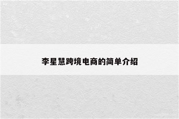 李星慧跨境电商的简单介绍