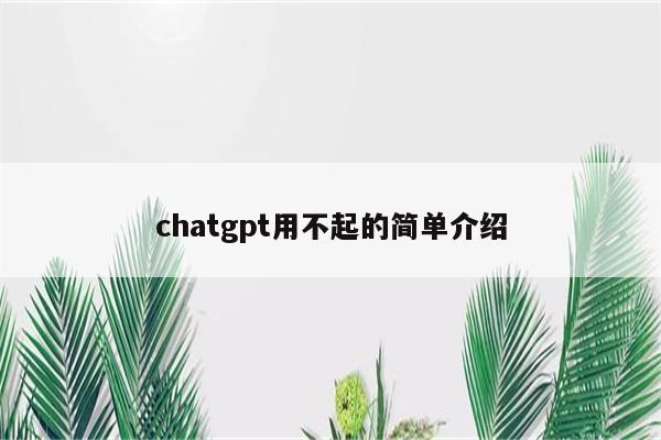 chatgpt用不起的简单介绍