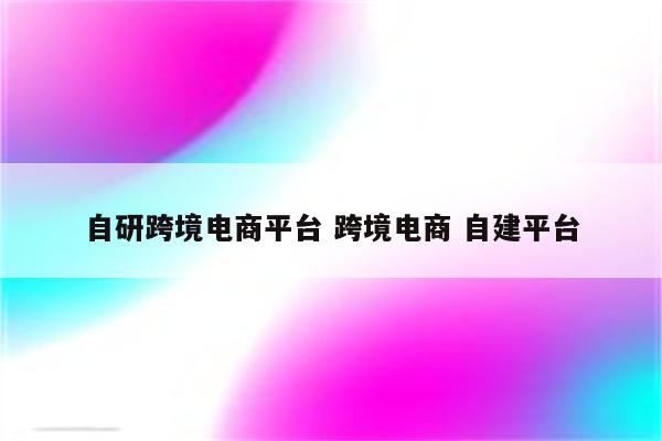 自研跨境电商平台 跨境电商 自建平台