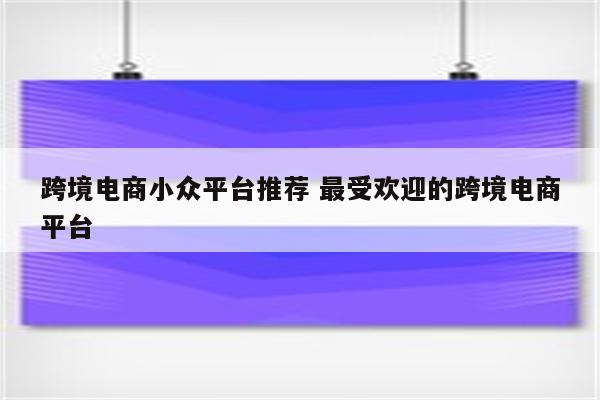 跨境电商小众平台推荐 最受欢迎的跨境电商平台